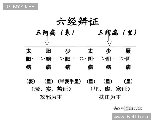 伤寒论》解析：张仲景辨证下太阳少阳合病与并病的区别及柴胡桂枝汤应用